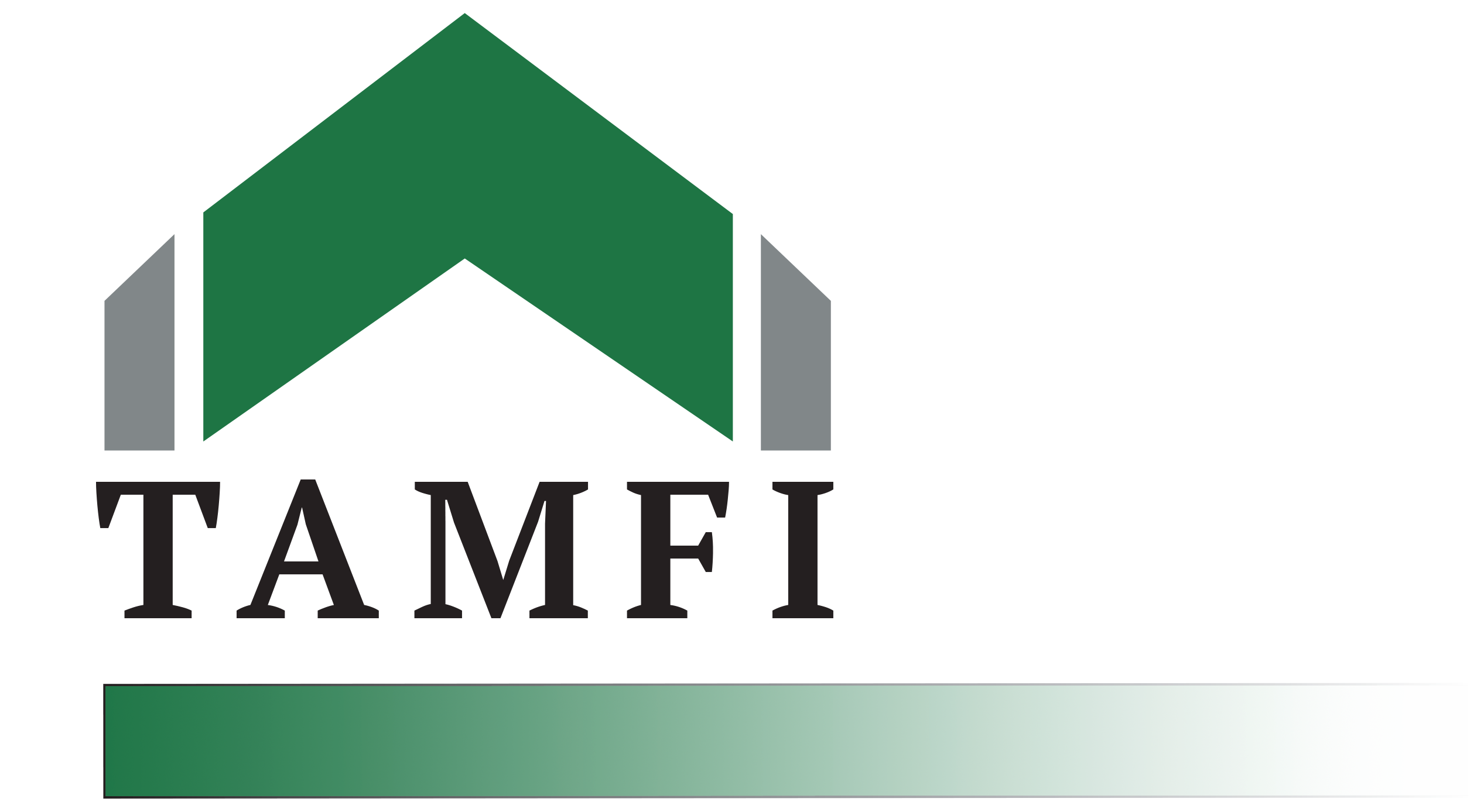Tamfi