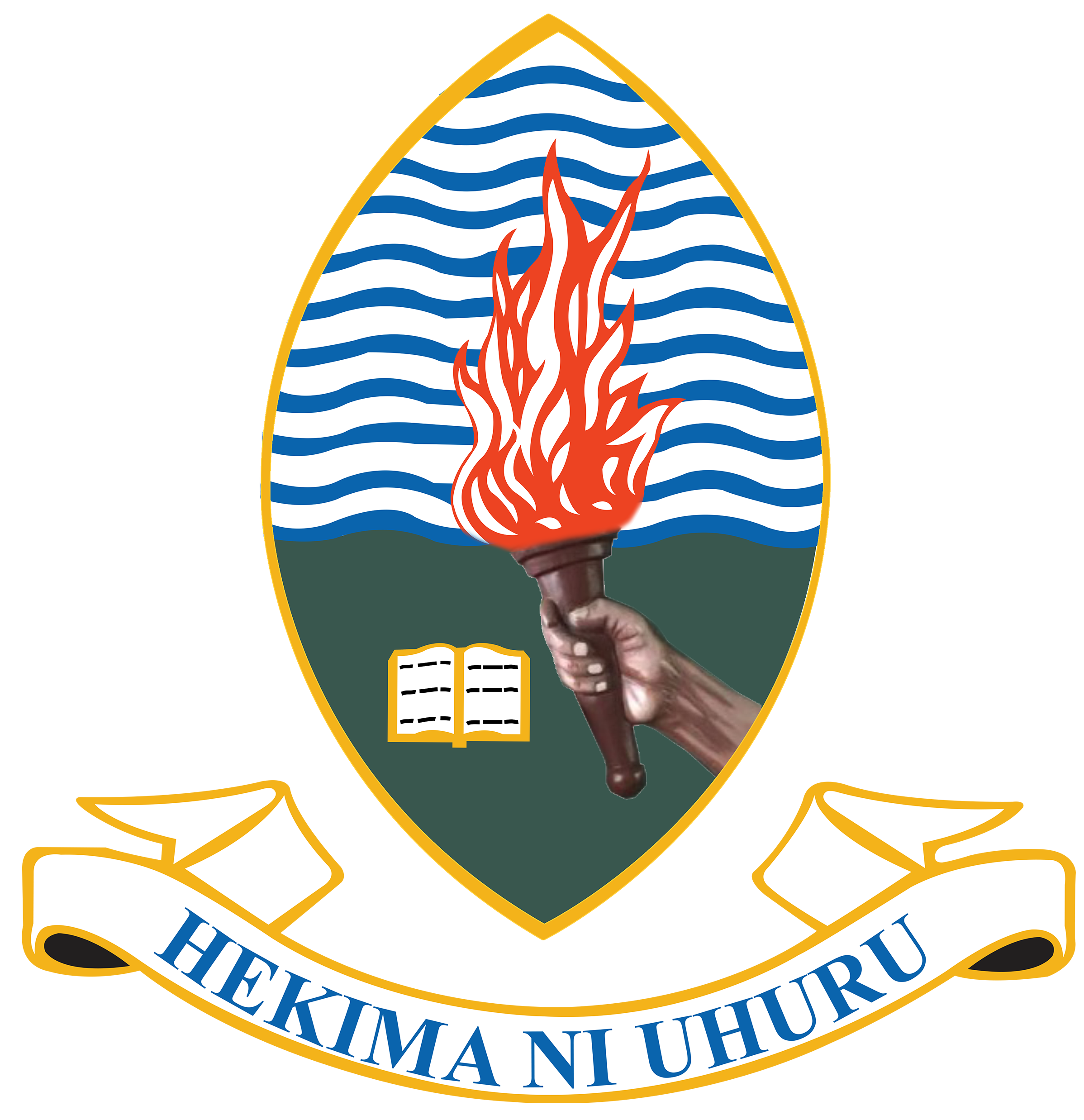 UDSM